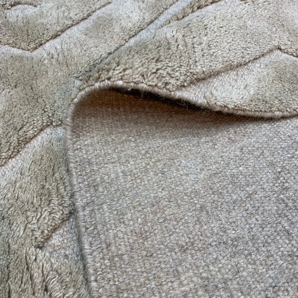 IMG_E1489.webp