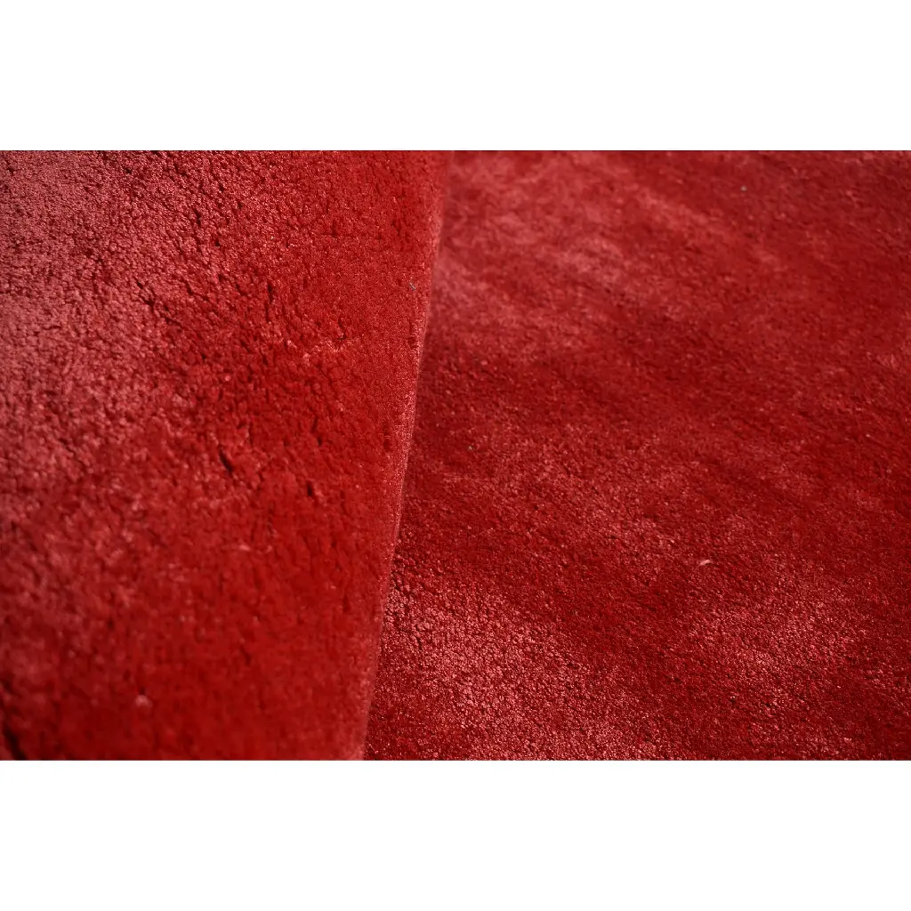 RED CARPET  (5).webp